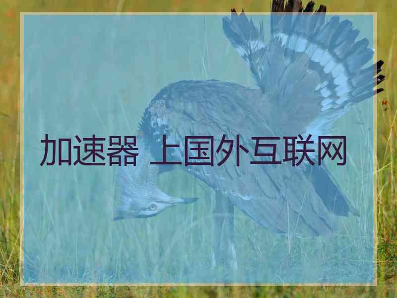 加速器 上国外互联网
