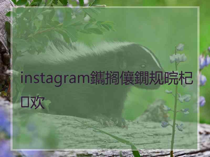 instagram鑴搁儴鐗规晥杞欢