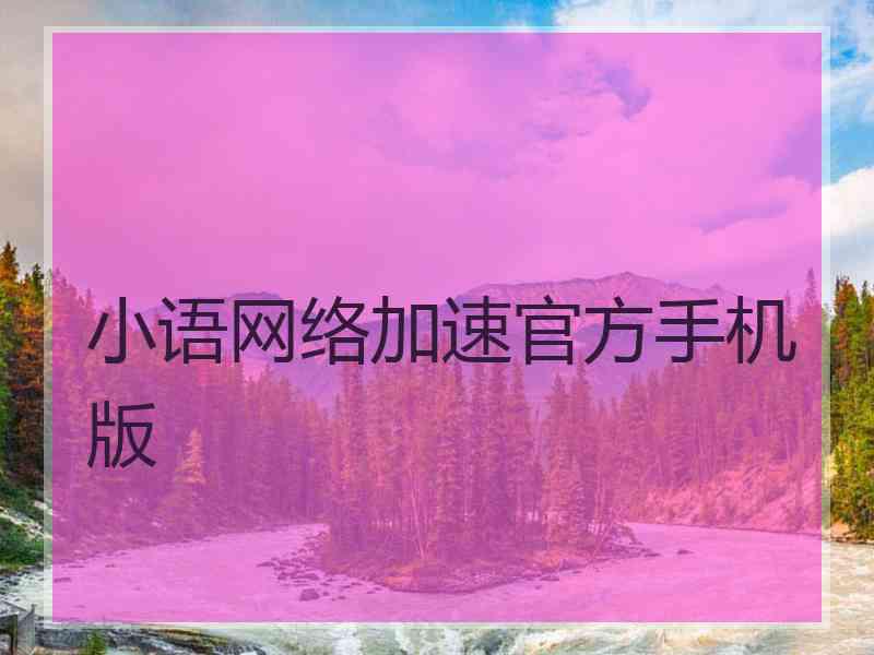 小语网络加速官方手机版
