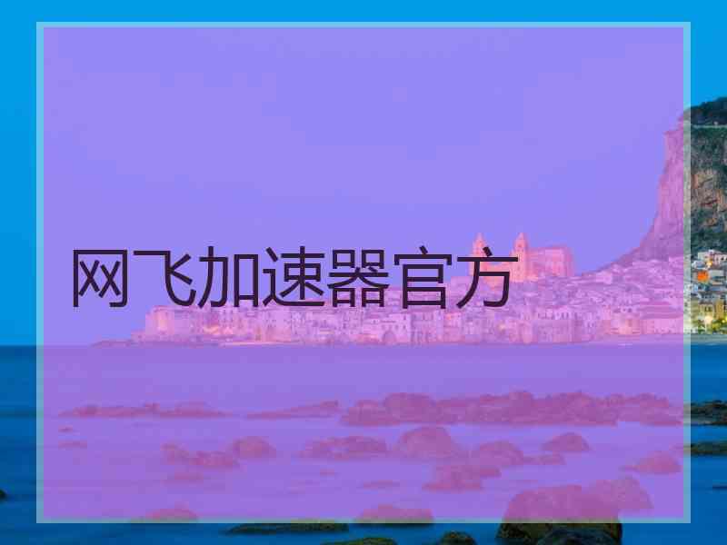 网飞加速器官方