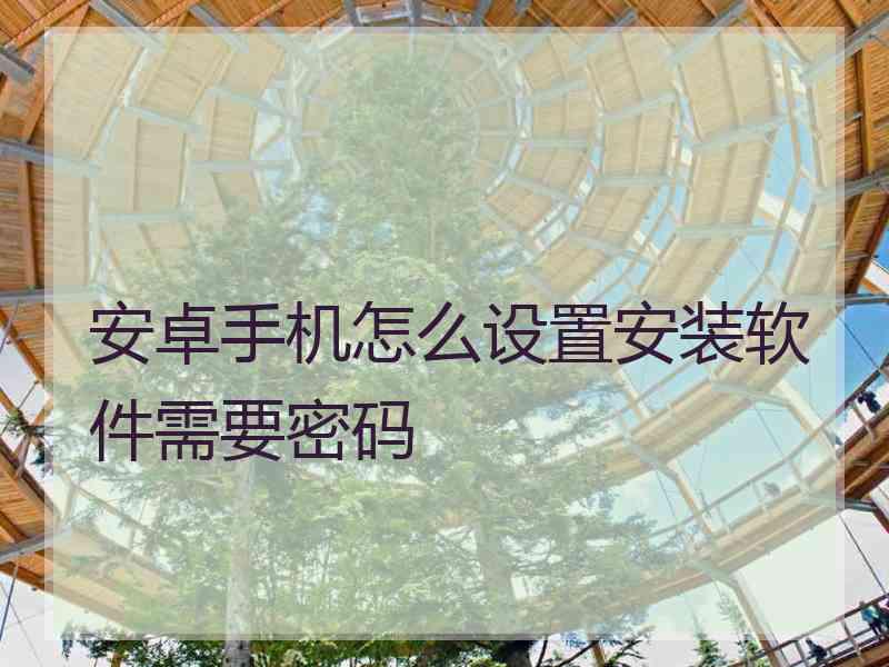 安卓手机怎么设置安装软件需要密码