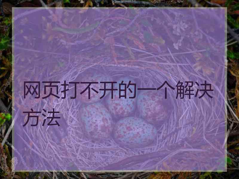 网页打不开的一个解决方法