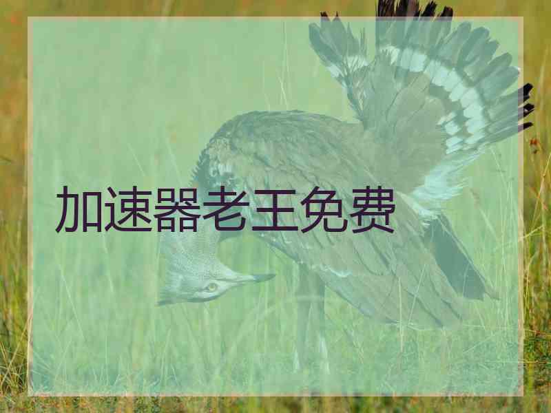 加速器老王免费