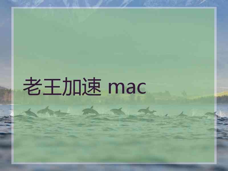 老王加速 mac