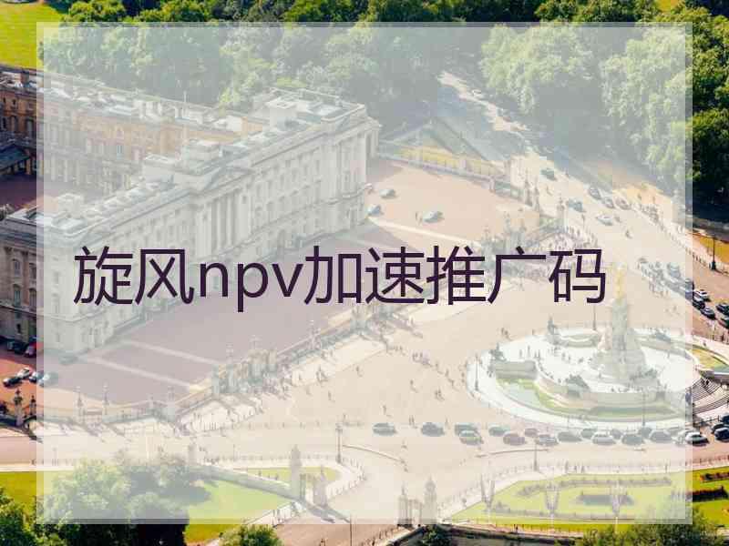 旋风npv加速推广码