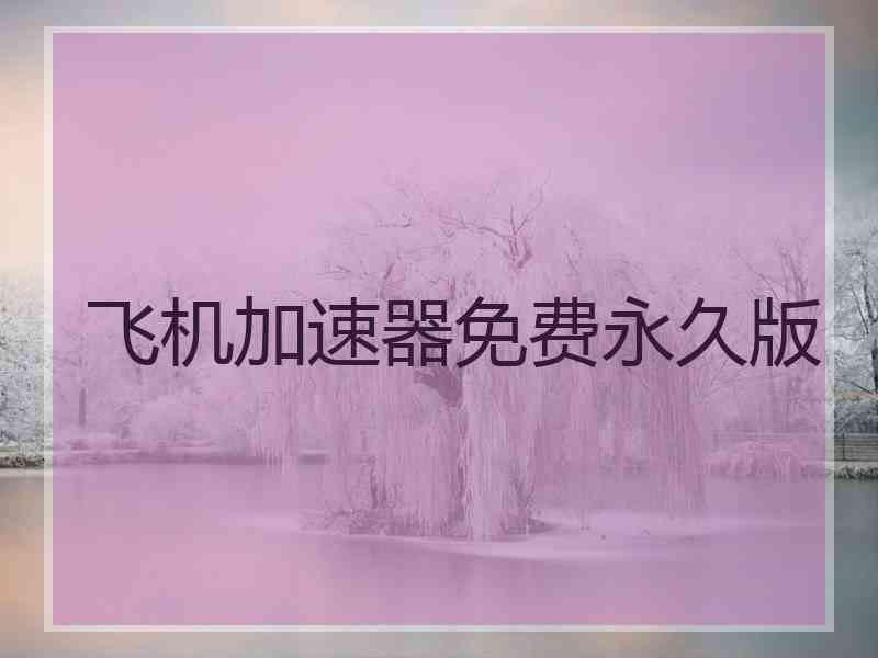 飞机加速器免费永久版