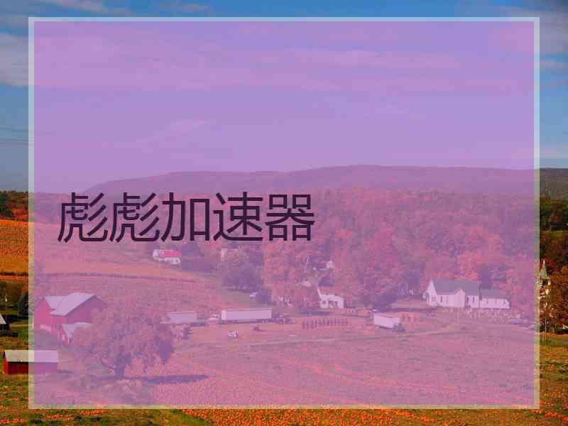 彪彪加速器