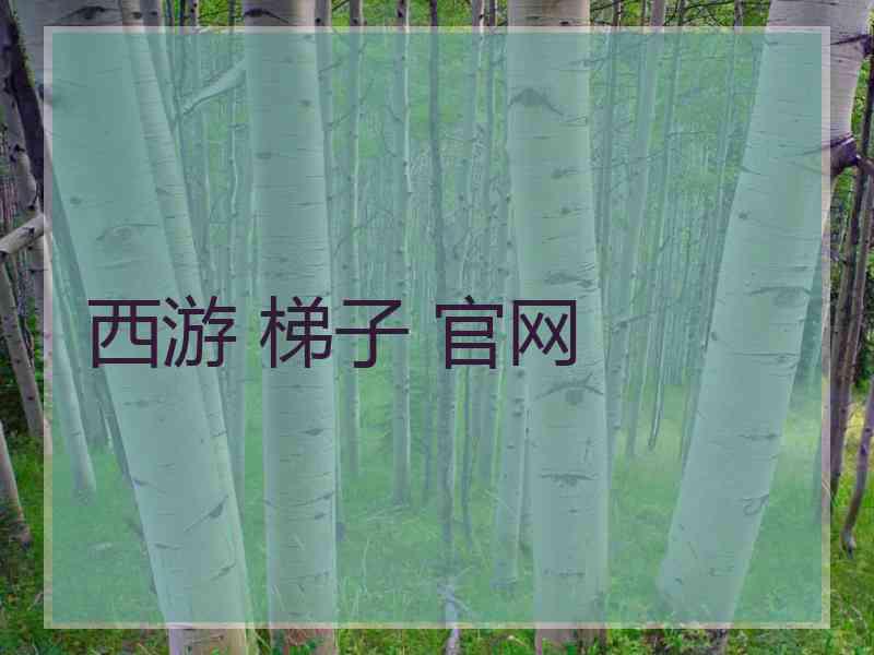 西游 梯子 官网