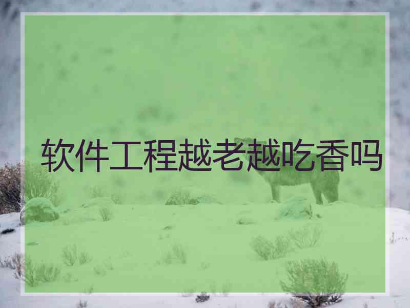软件工程越老越吃香吗