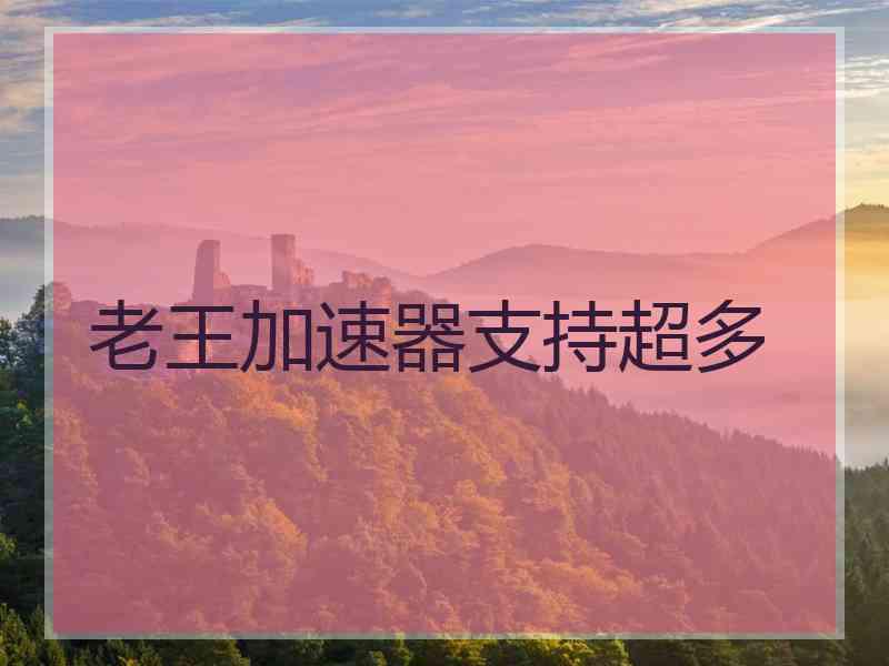老王加速器支持超多