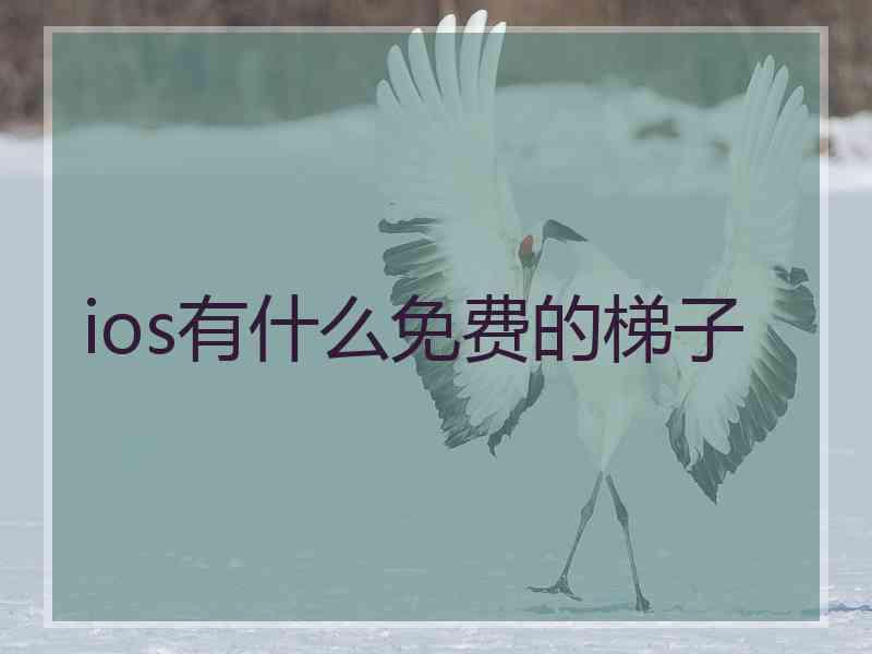 ios有什么免费的梯子