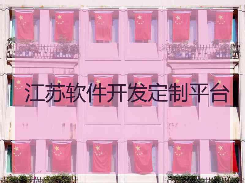 江苏软件开发定制平台