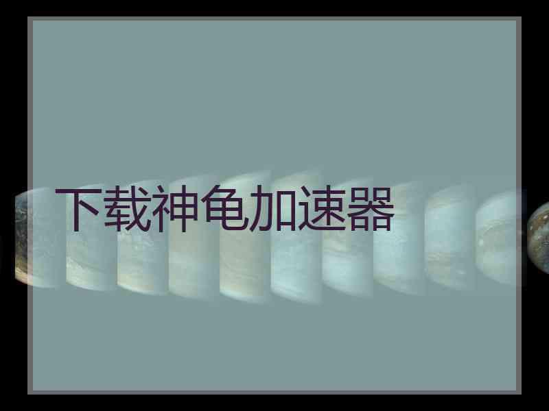 下载神龟加速器