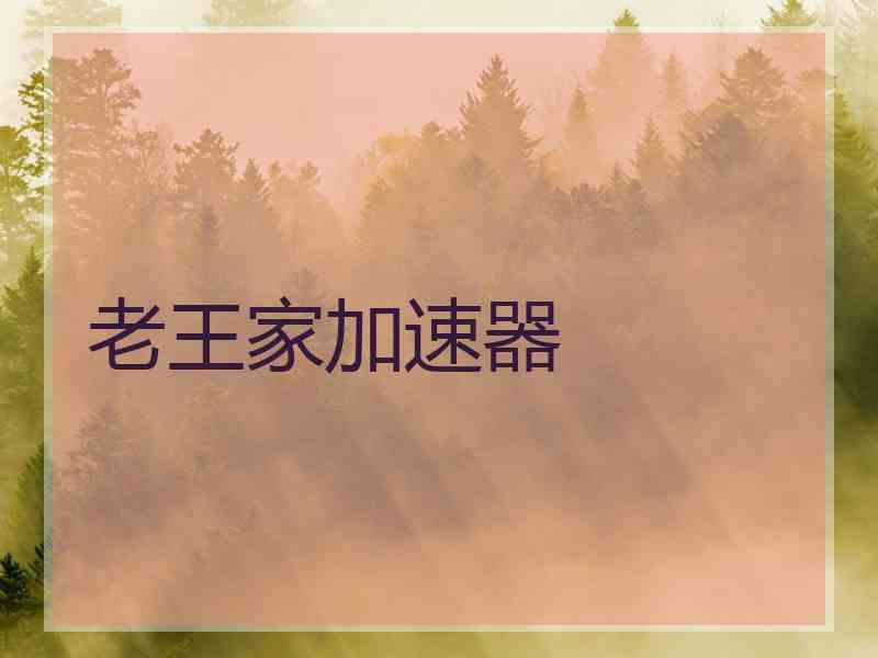 老王家加速器