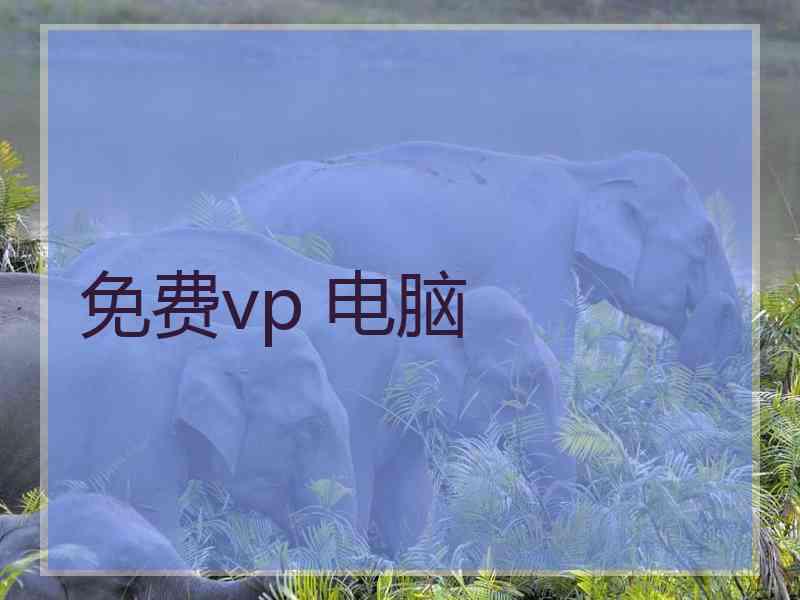 免费vp 电脑