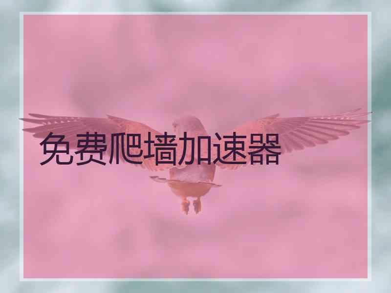 免费爬墙加速器