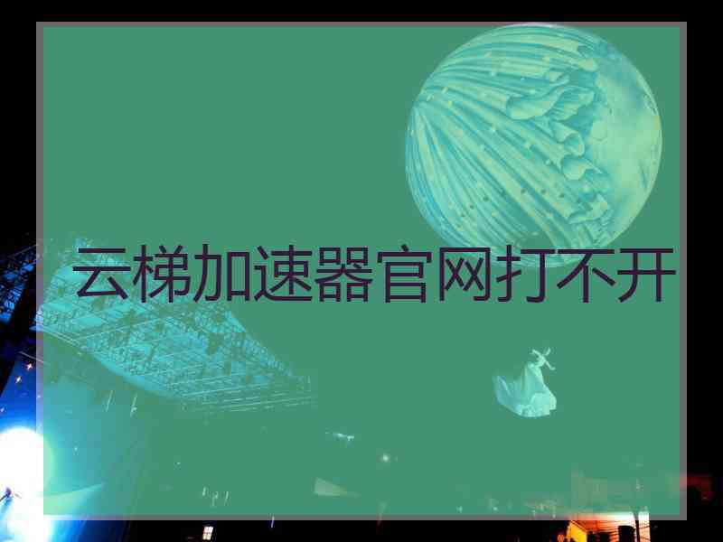 云梯加速器官网打不开