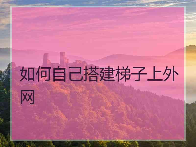 如何自己搭建梯子上外网