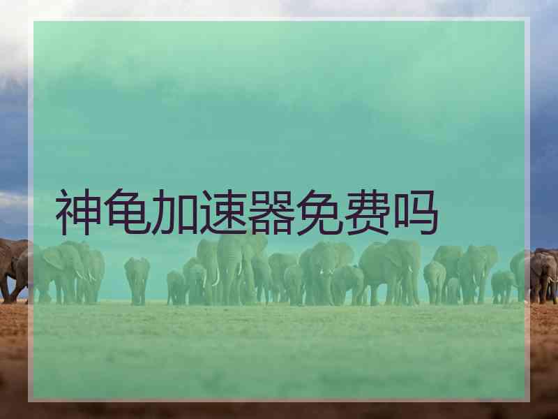 神龟加速器免费吗
