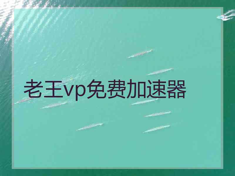 老王vp免费加速器