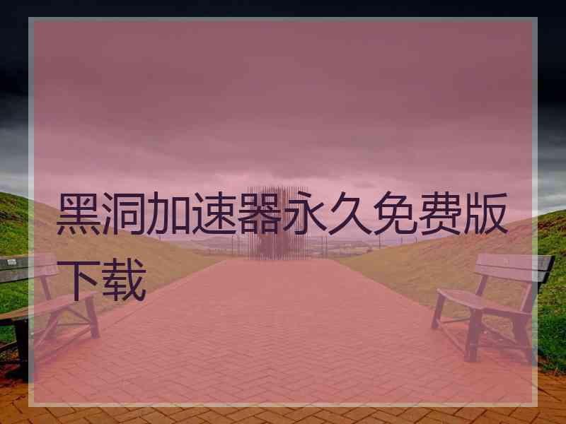 黑洞加速器永久免费版下载