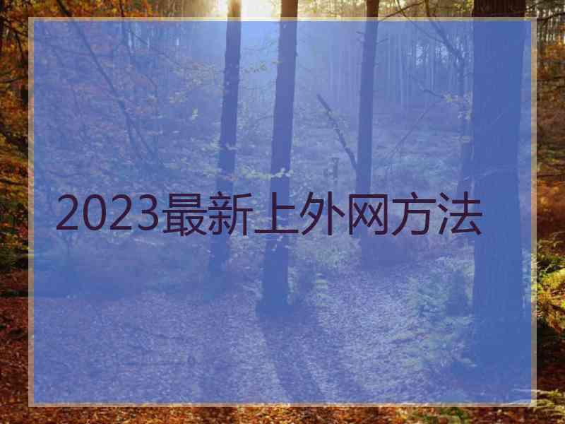 2023最新上外网方法