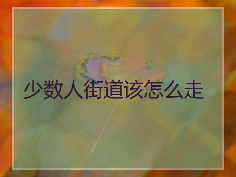 少数人街道该怎么走