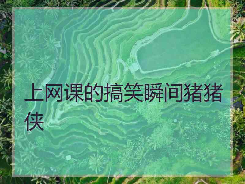 上网课的搞笑瞬间猪猪侠