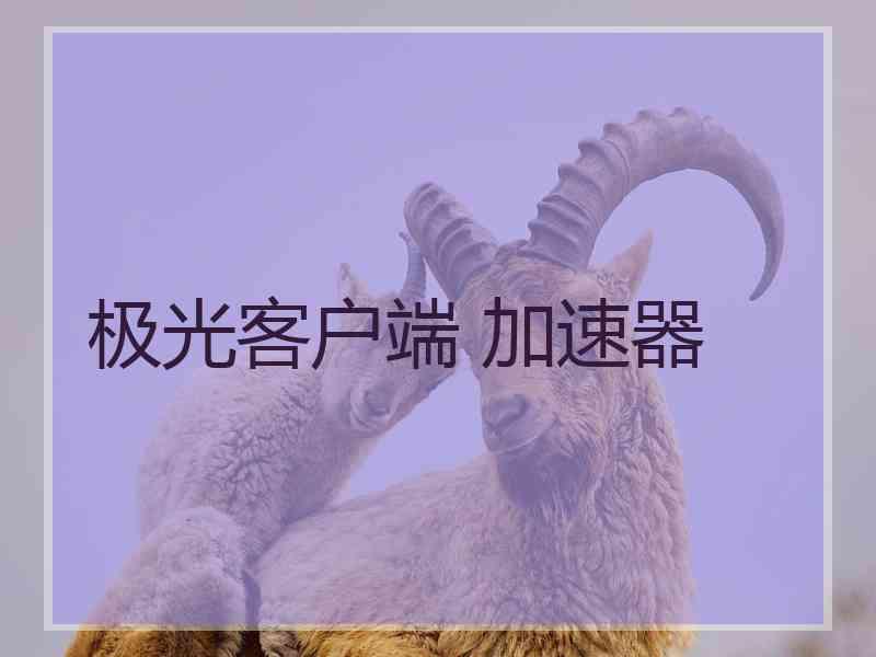 极光客户端 加速器