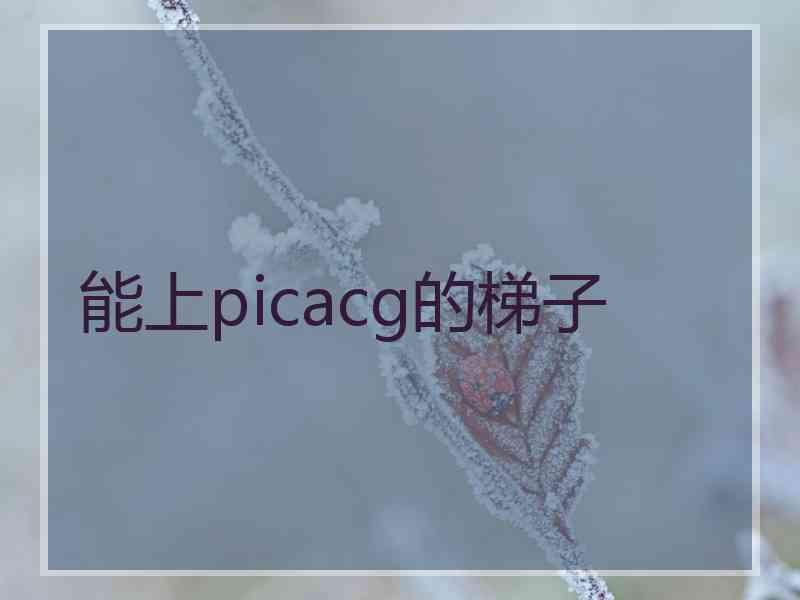 能上picacg的梯子
