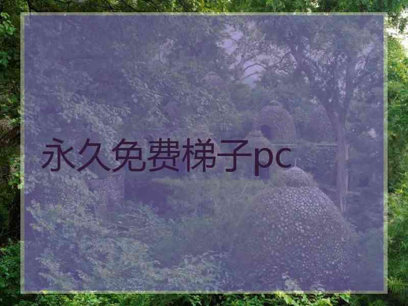 永久免费梯子pc