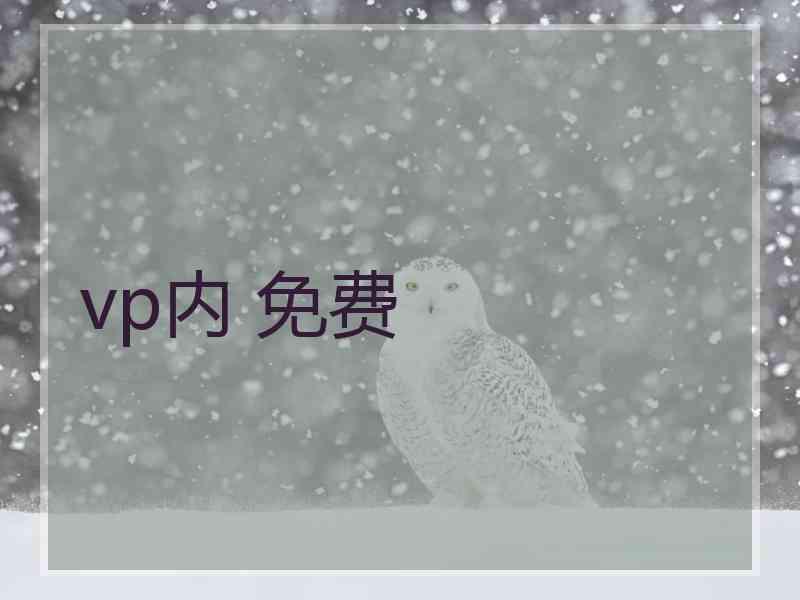 vp内 免费