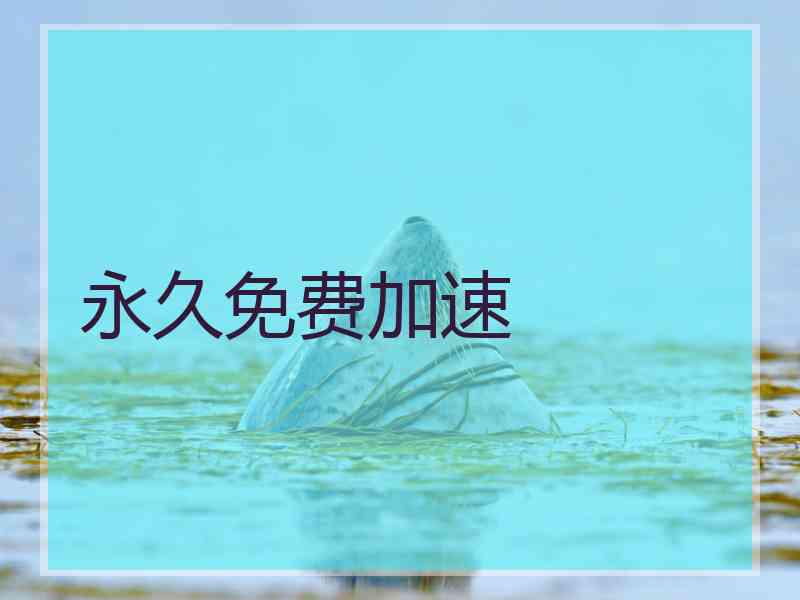 永久免费加速