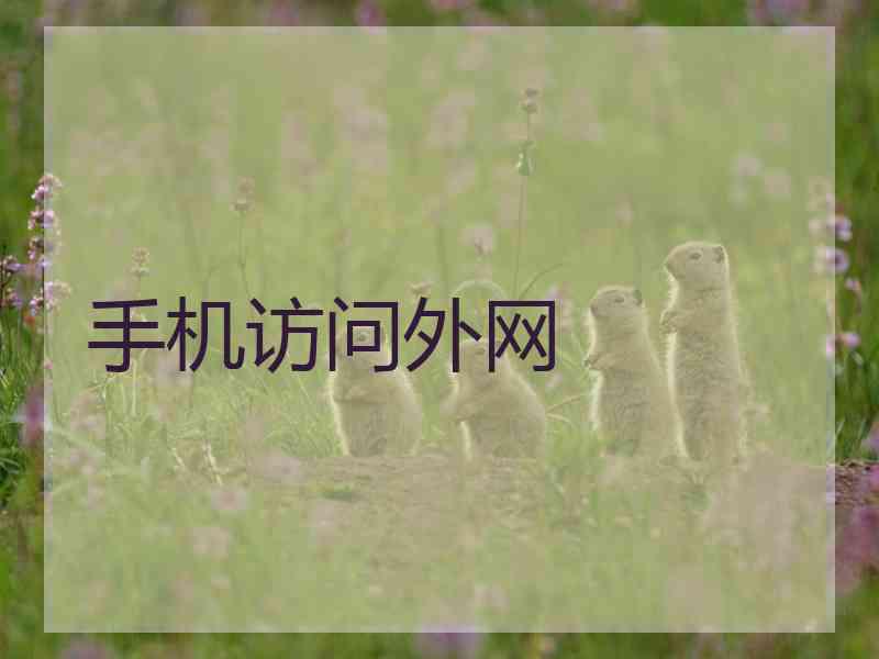 手机访问外网