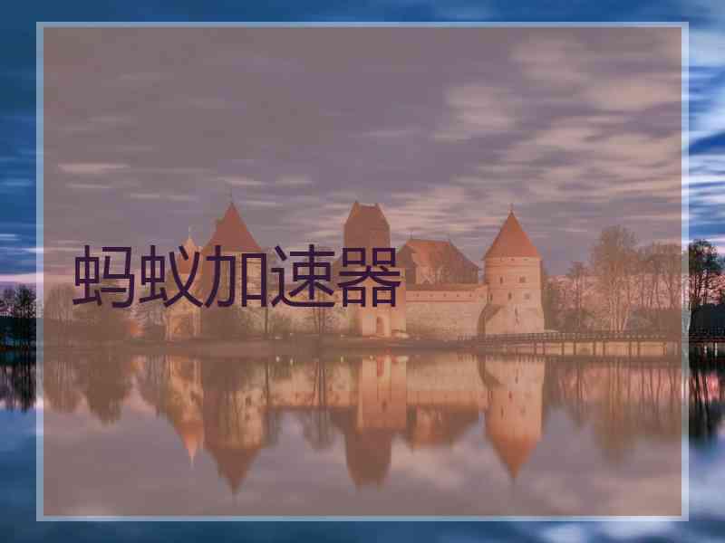 蚂蚁加速器