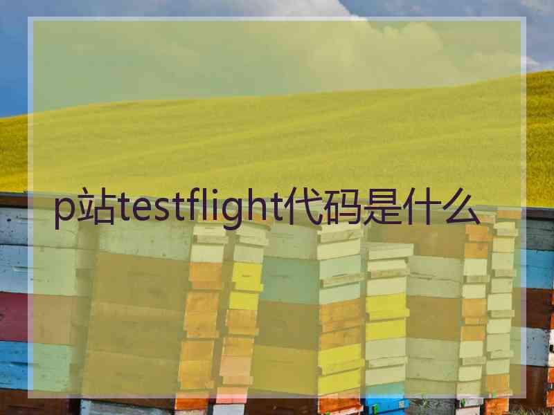 p站testflight代码是什么