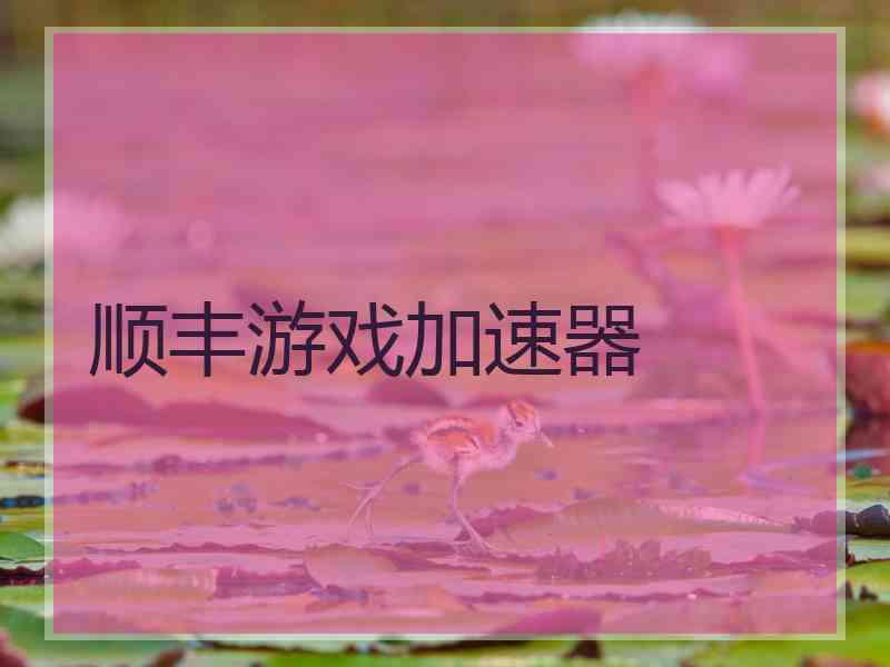 顺丰游戏加速器