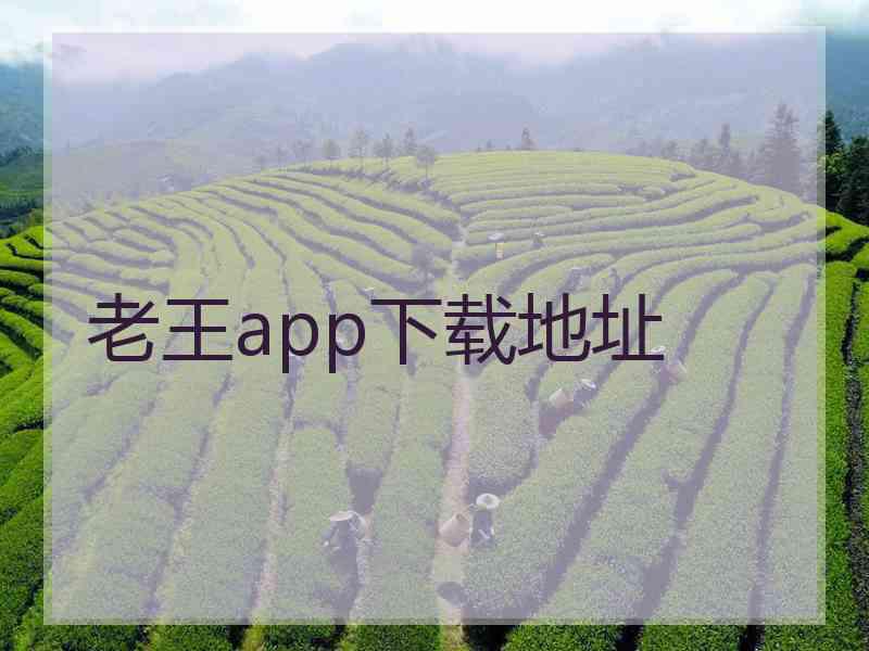 老王app下载地址