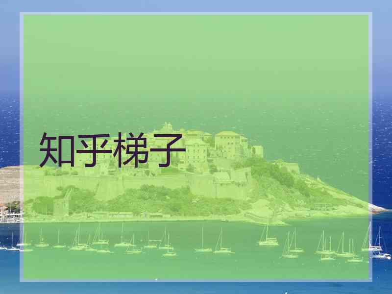 知乎梯子