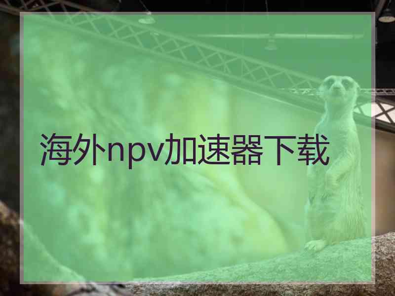 海外npv加速器下载