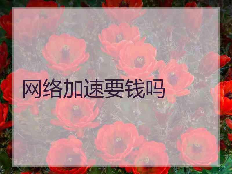 网络加速要钱吗