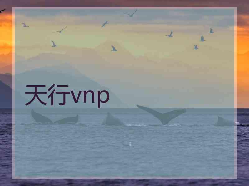 天行vnp