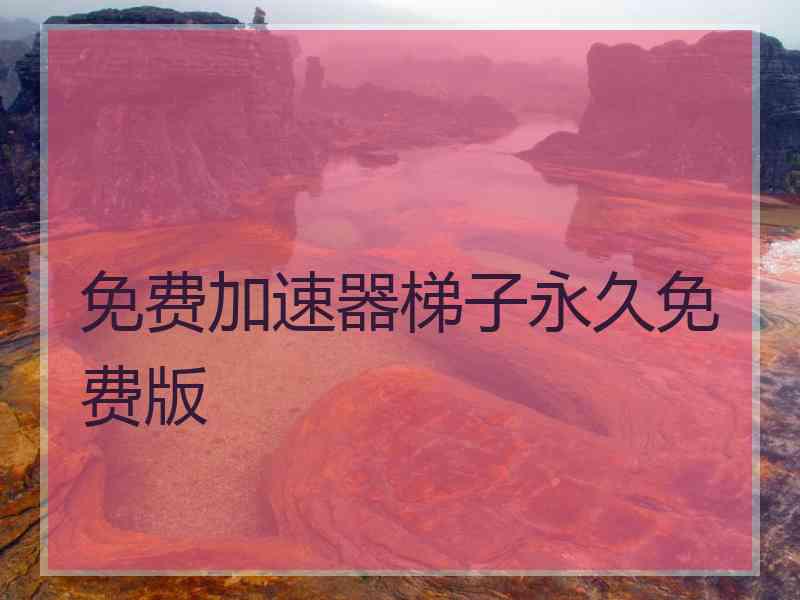 免费加速器梯子永久免费版