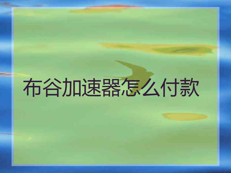 布谷加速器怎么付款