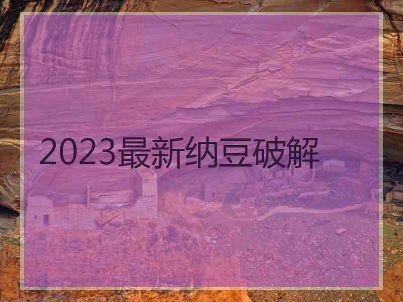 2023最新纳豆破解