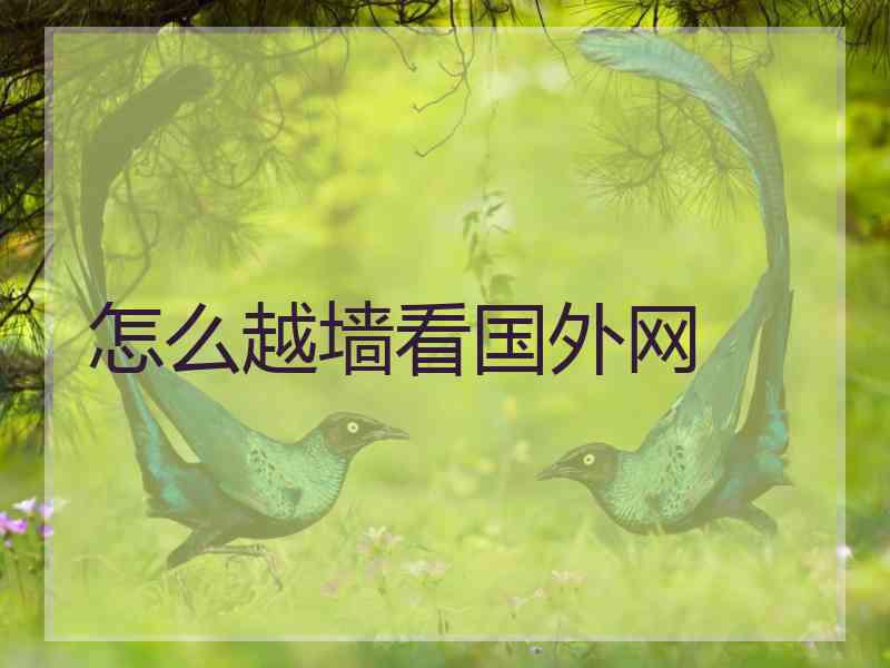 怎么越墙看国外网