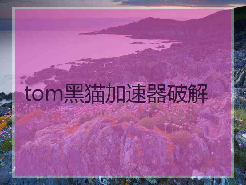 tom黑猫加速器破解