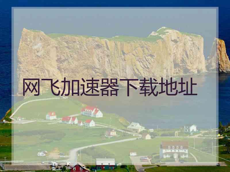 网飞加速器下载地址