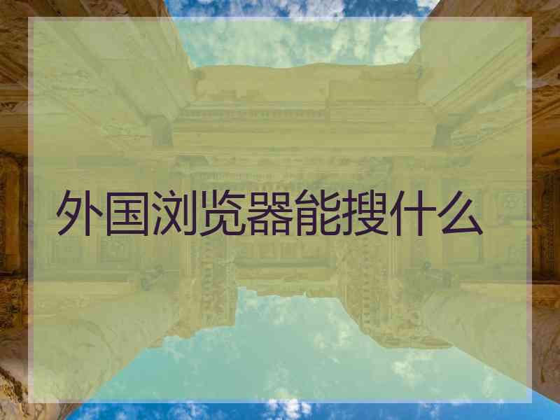 外国浏览器能搜什么