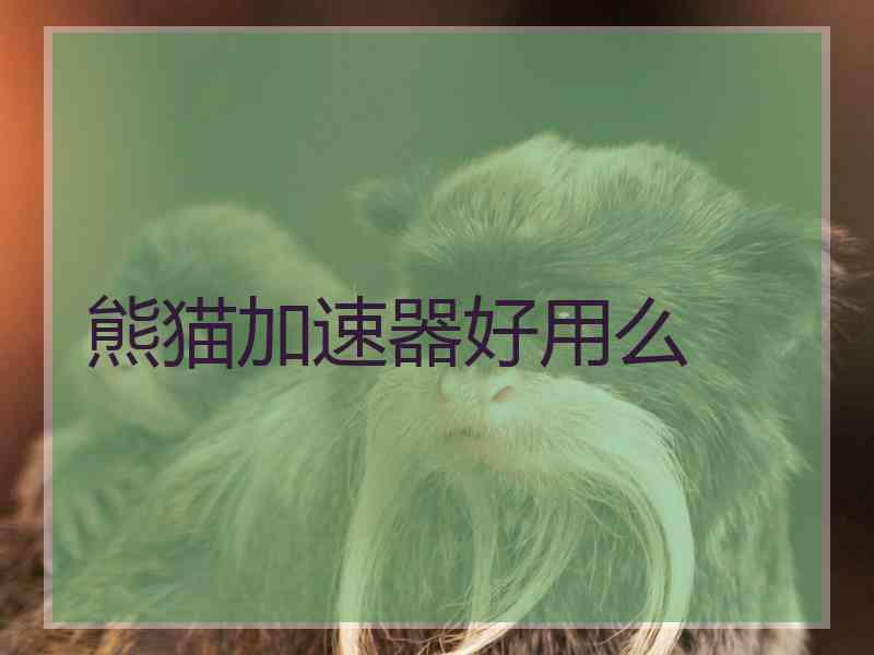 熊猫加速器好用么